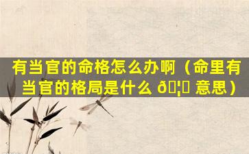 有当官的命格怎么办啊（命里有当官的格局是什么 🦋 意思）